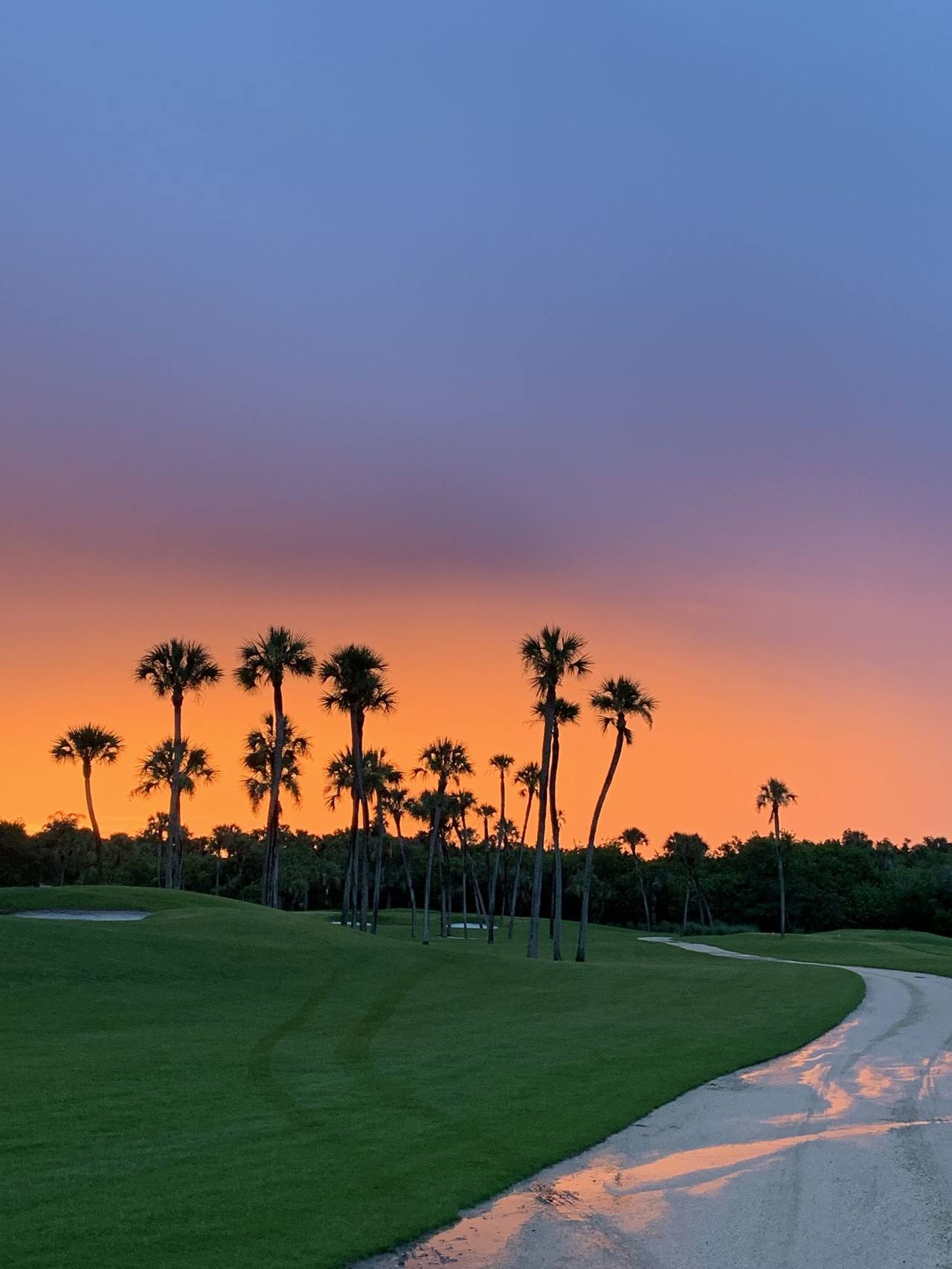 Nueva Andalucía, Marbella — managed by Glaser Group